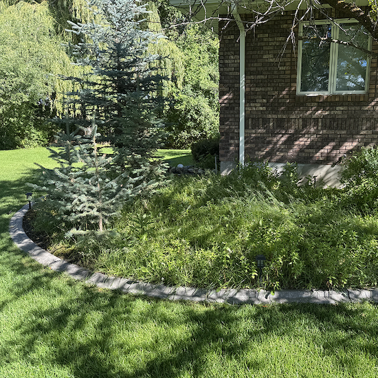 Backyard of home of in Rexburg C&R provides landscaping and lawn care services to in Rexburg
